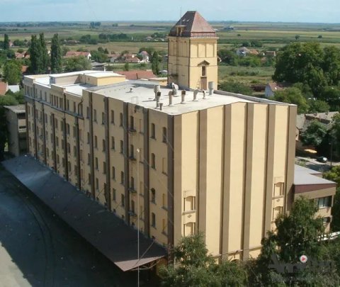 Akontna cena pšenice 16 dinara: „Kikindski mlin“ prima 30.000 tona