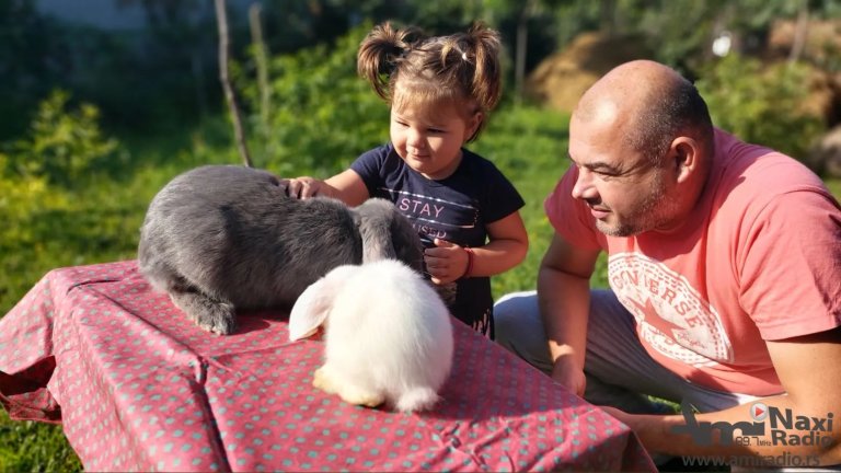 Dve decenije odgajivanja kunića porodice Berković