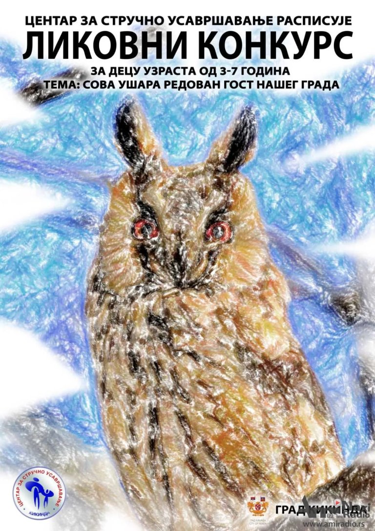 CSU: Likovni konkurs „Sova ušara redovan gost našeg grada“