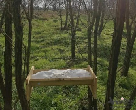 Lovačko udruženje apeluje na vozače da obrate pažnju na divljač