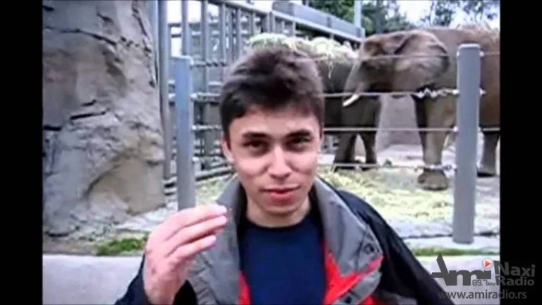 Pre 16 godina objavljen prvi video na Jutjubu