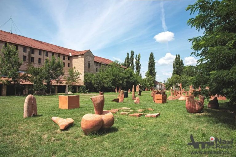 Kikindska „Terra“ obnovila saradnju sa Fakultetom likovnih umjetnosti sa Cetinja