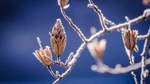 POGLEDAJTE kakvo nas vreme očekuje tokom januara i februara po metodama Borisa Koljčickog