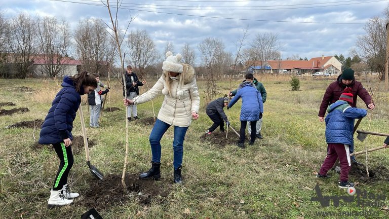 Posađena školska šuma u Velikom Selu