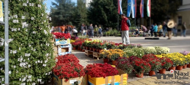 Šareniće se i mirisati Kikinda u subotu: Bazar i sajam za sva čula!
