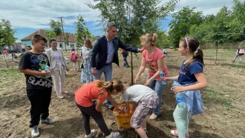 Za veću pošumljenost: Učenici iz Nakova brinu o 100 stabala