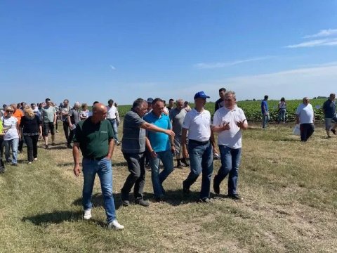 Dani polja: Niski prinosi pšenice ove godine