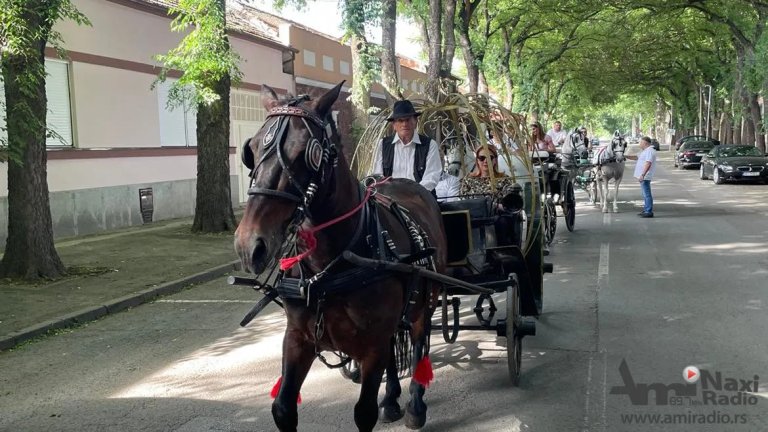 Novo u turističkoj ponudi Kikinde: Vožnja fijakerom najlepšim ulicama
