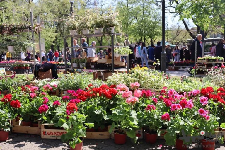 Junski bazar i sajam cveća u subotu u Kikindi