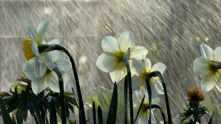 Prognoza vremena za april, maj i jun 2019. godine