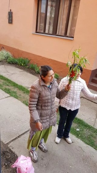 Obeležen je veliki hrišćanski praznik Lazareva subota ili Vrbica !!!