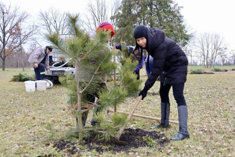 Akcija pošumljavanja u Bašaidu: Posađeno 200 sadnica na 5 lokacija