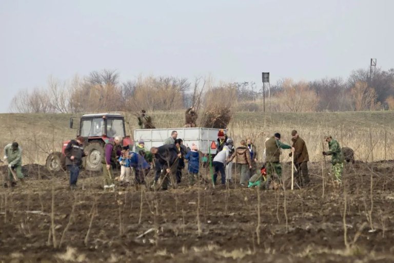 Akcija pošumljavanja kod Simićevog salaša: Posađeno oko 2 000 sadnica lužnjaka