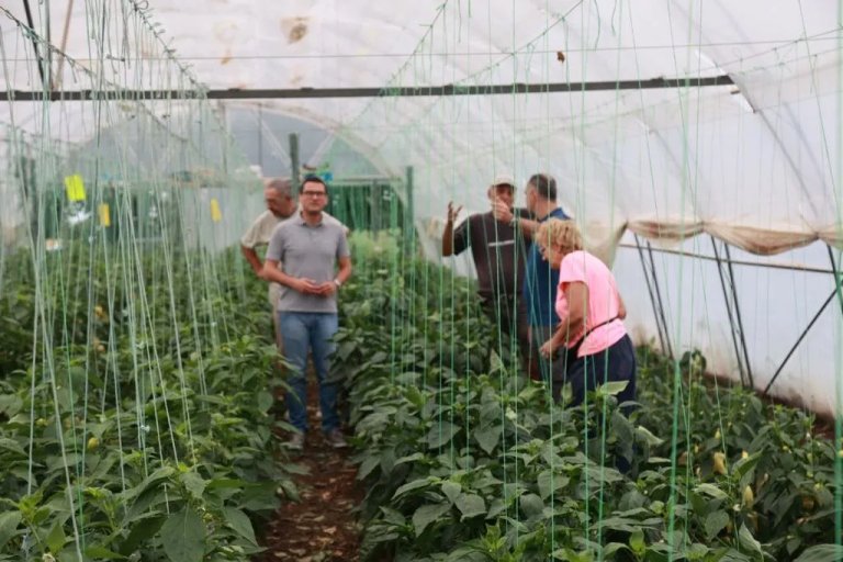 Grad kroz mere podrške pomaže poljoprivrednim proizvođačima