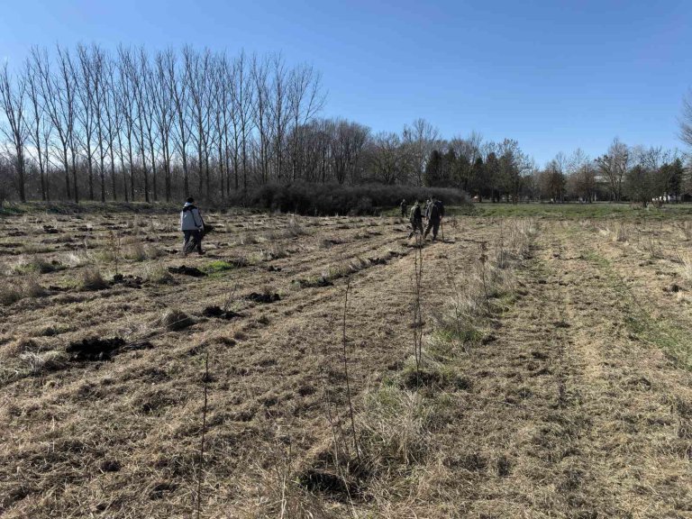 Novi hektari šuma u Velikom Selu: Nastavak uspešne prakse pošumljavanja