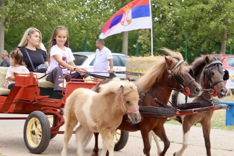 Revija paradnih zaprega u nedelju u Kikindi