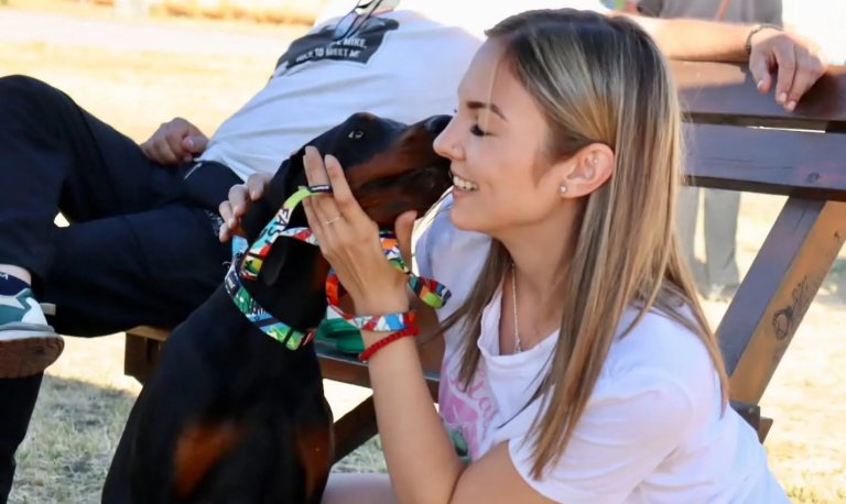 Izložba mešanaca: Za ljubav, privrženost i jedinstven karakter pedigre nije potreban