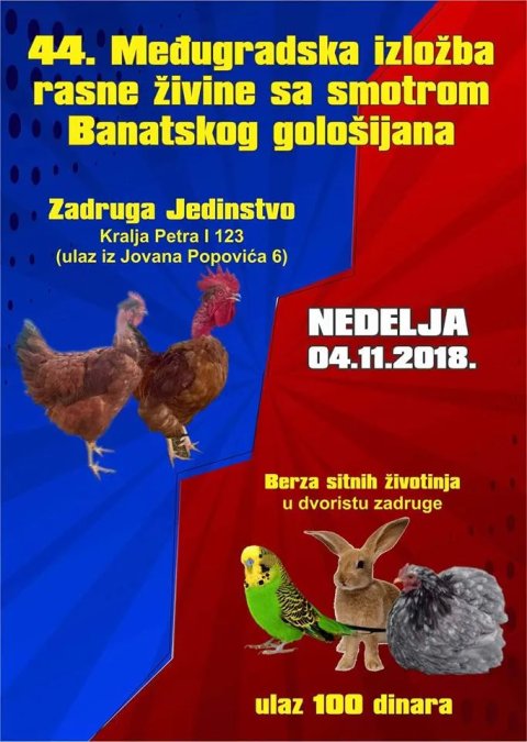 Izložba rasne živine i smotra banatskog gološijana za vikend u Kikindi