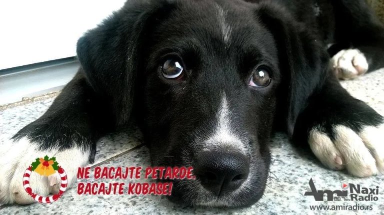 Bacajte kobasice, a ne petarde