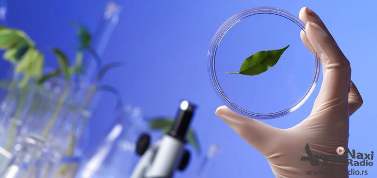 PMF Novi Sad: Besplatne pripreme iz biologije, hemije i matematike
