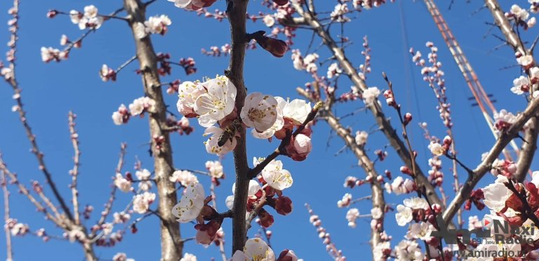 Proleće stiže večeras u 22:58