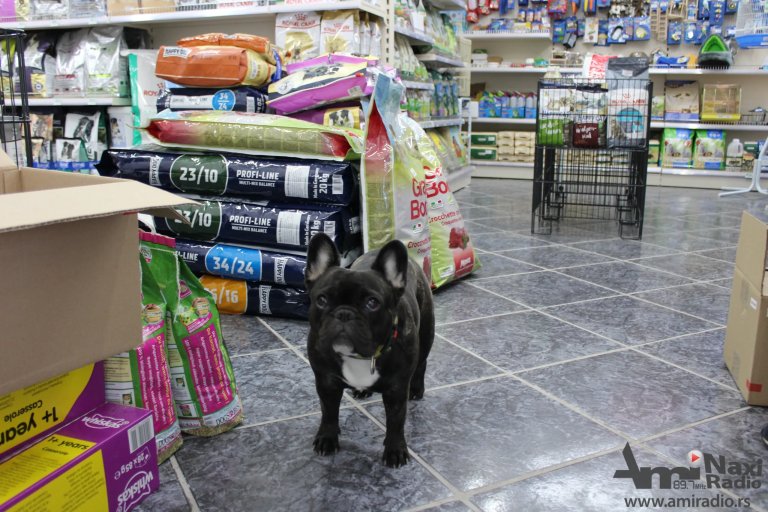 Pet mall „Mila njuška“ od ponedeljka u Kikindi