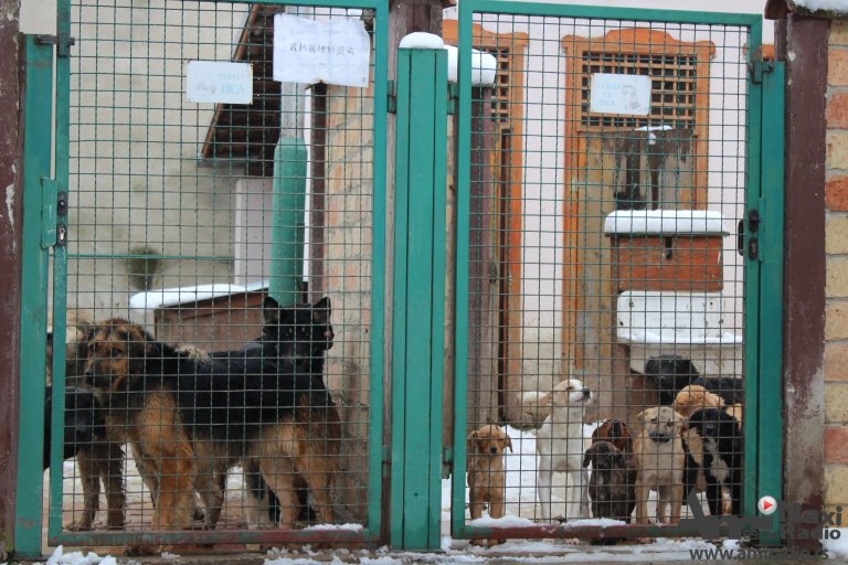 Profesori i učenici Gimnazije u subotu organizuju humanitarni buvljak