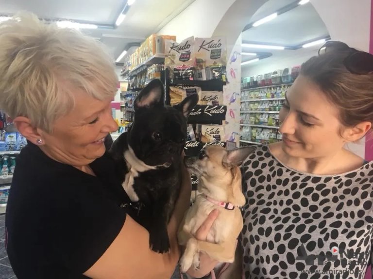 Foto vest: Otvoren Pet mall „Mila njuška“
