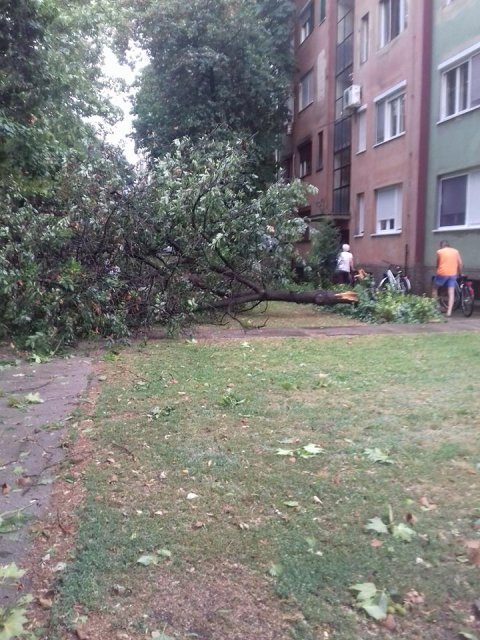 UPOZORENjE NA JAKE PLjUSKOVE, GRMLjAVINU, LOKALNU POJAVU GRADA I OLUJNI VETAR (od 23. do 25.06.2019.)