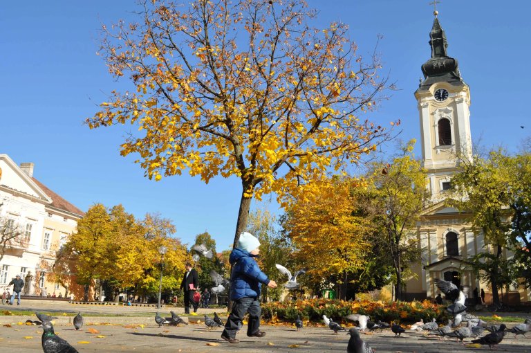 Kikinda dobitnik „Evropske Diplome“