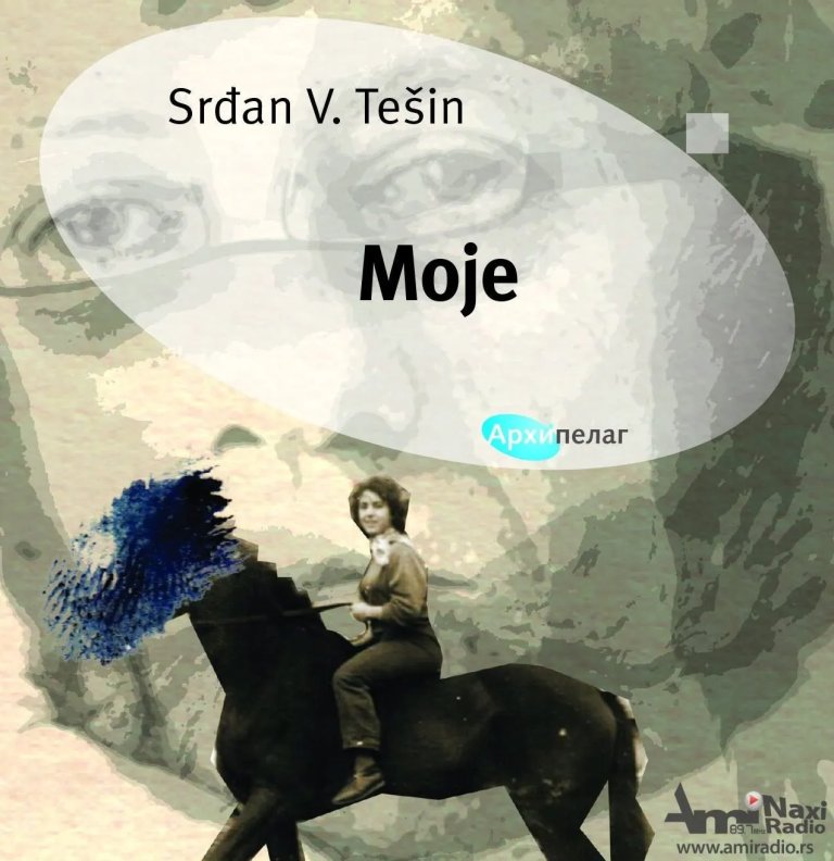 Novi roman Srđana V. Tešina „Moje“
