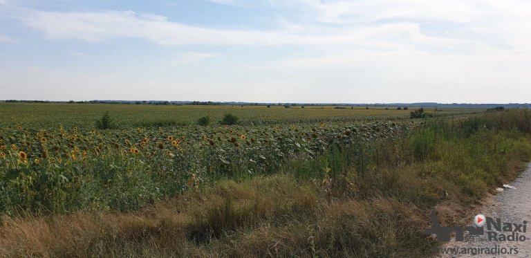 Stižu rešenja za naknadu za odvodnjavanje