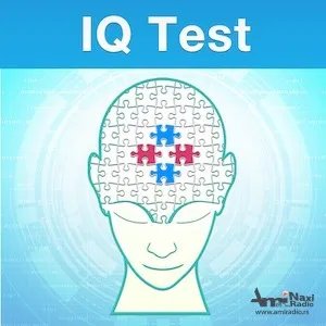 Mensino testiranje inteligencije u nedelju u Kikindi