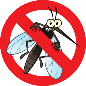 Tretmani suzbijanja komaraca u ponedeljak i utorak