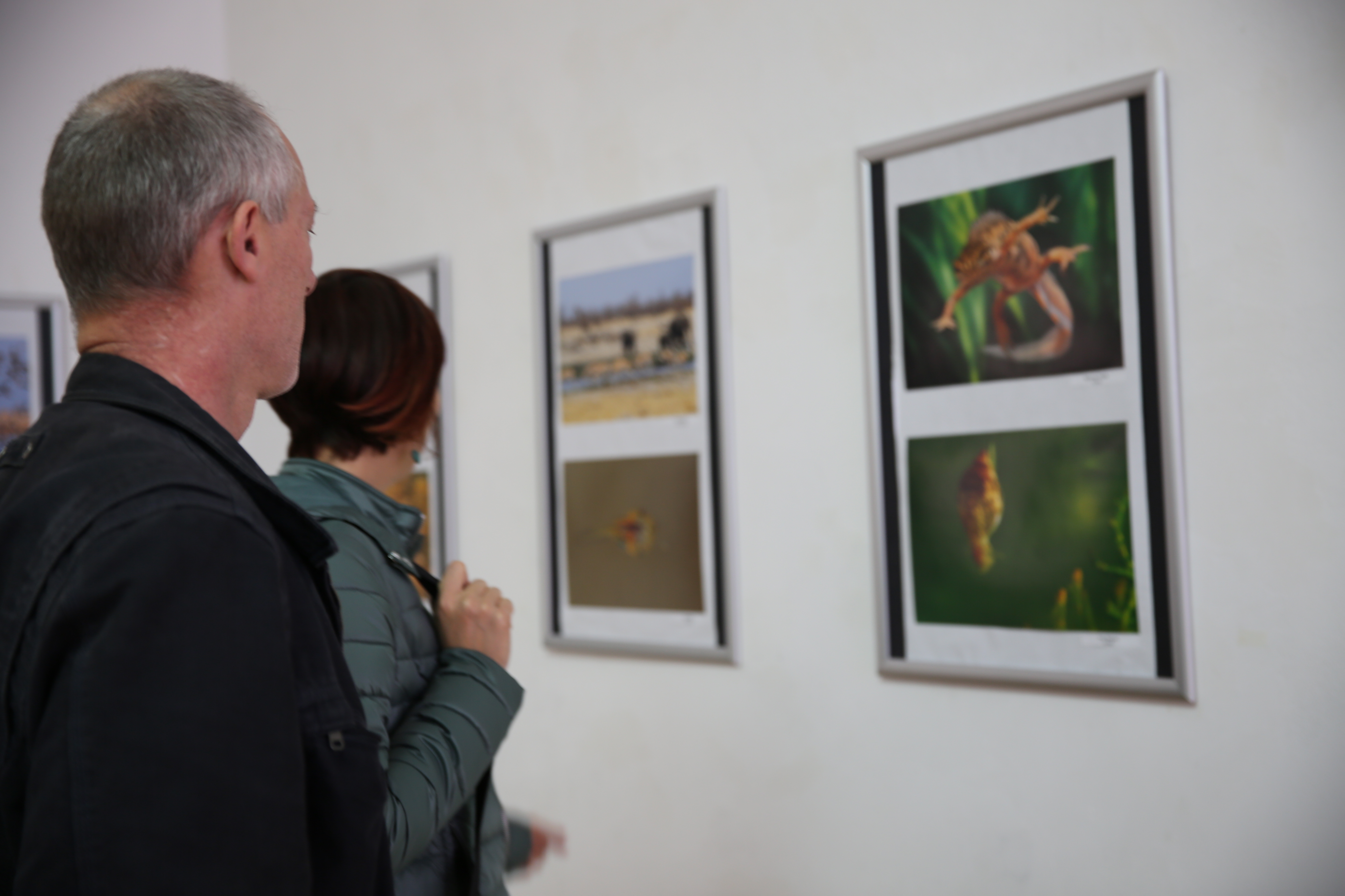 Izložba fotografija „Voda = Život“ otvorena do kraja meseca