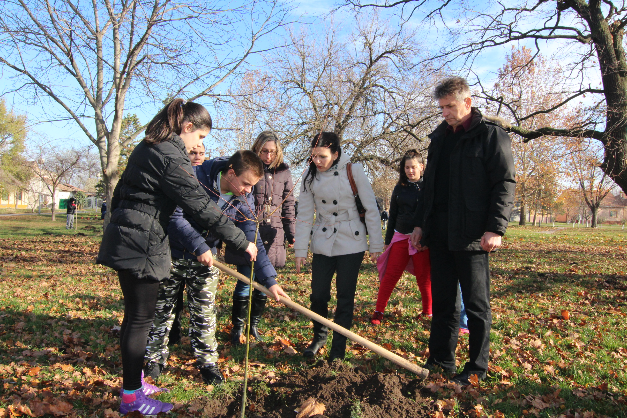 Novokozarački osnovci posadili drveće ispred svoje škole