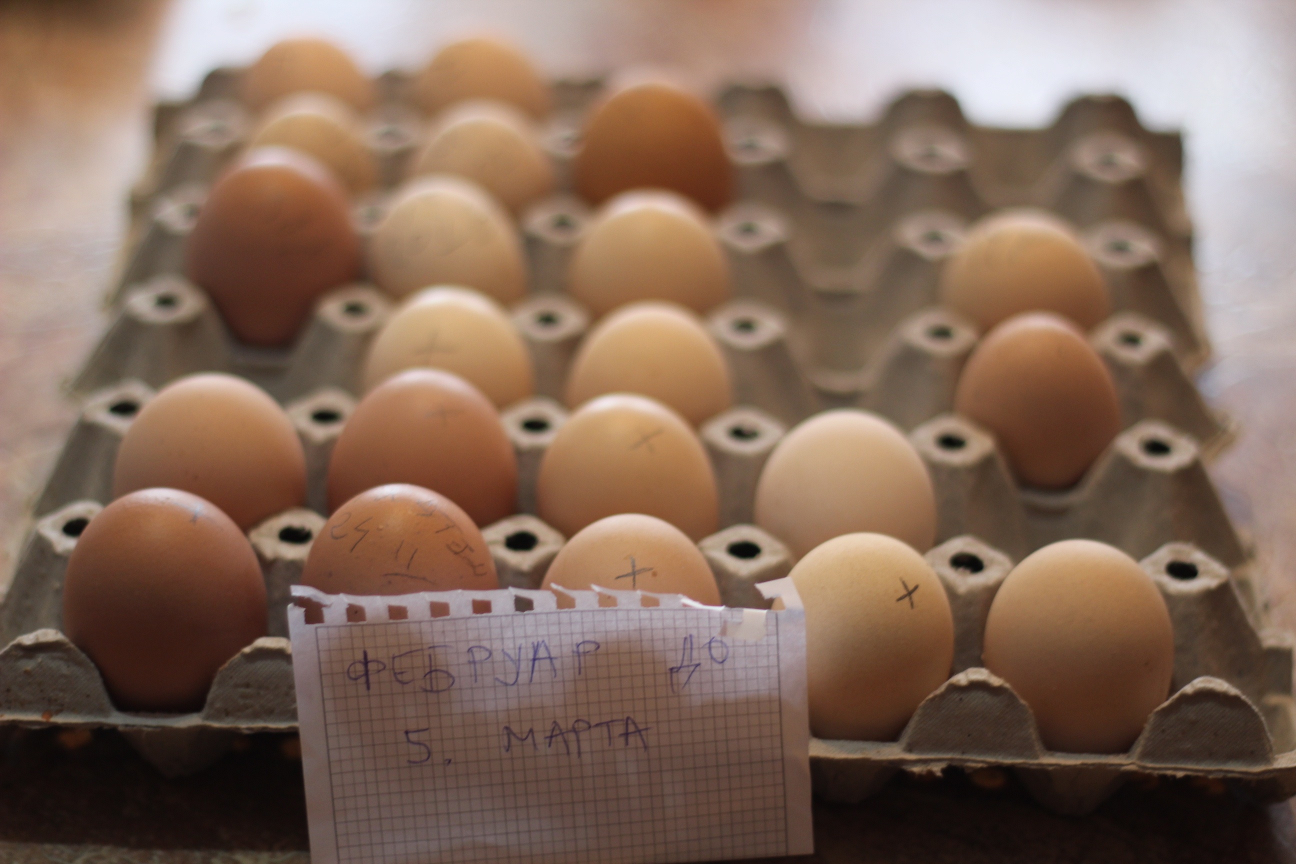 28.Tucanijada u Mokrinu 8. aprila