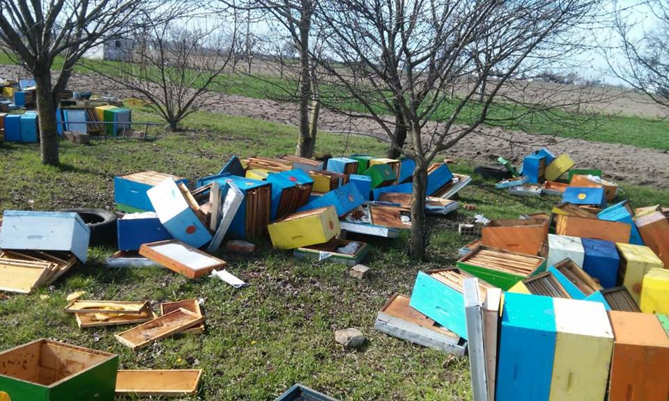 Vandalsko ponašanje, uništen dugogodišnji trud