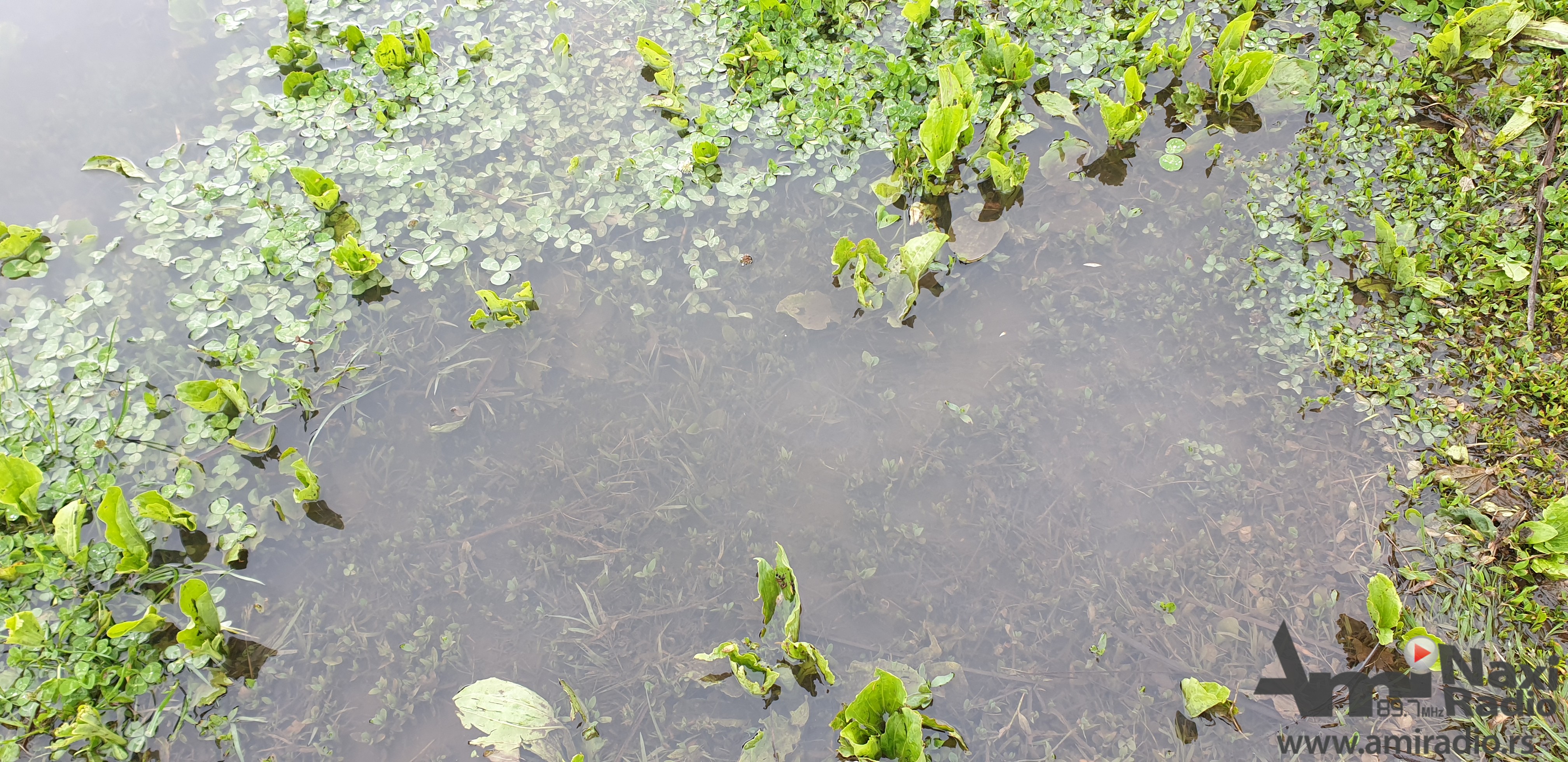 U Kikindi palo najviše kiše 58,3 mm