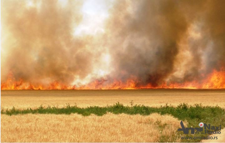 Apel pred početak žetvenih radova: Nemojte spaljivati biljne ostatke, novčane kazne visoke