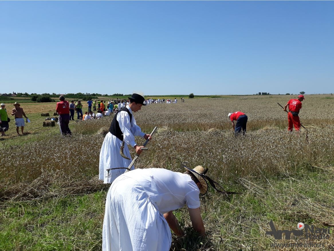 23. Severnobanatske žetelačke svečanosti u Sajanu