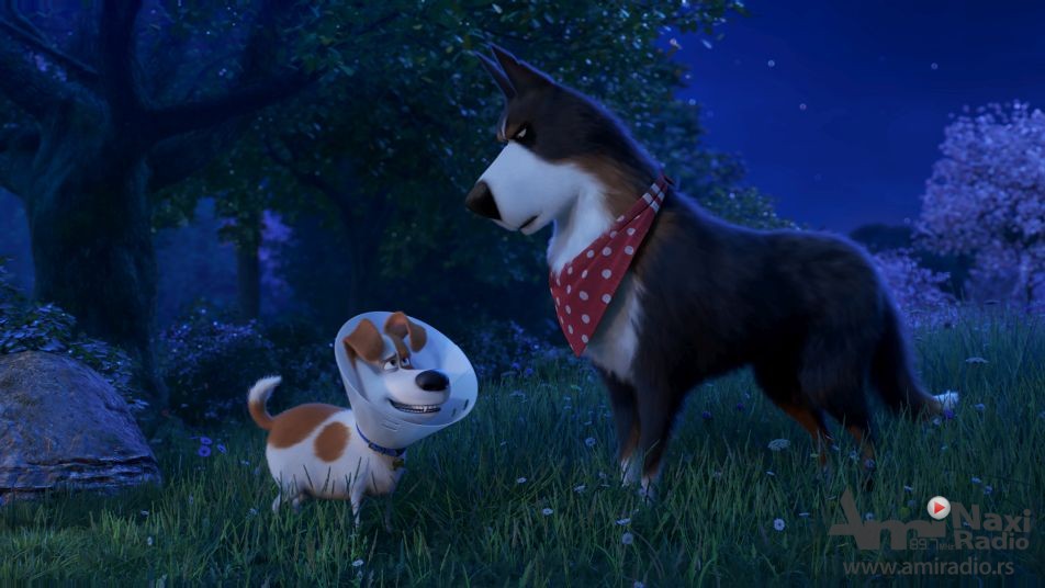 Bioskopske projekcije u nedelju i ponedeljak u Pozorištu