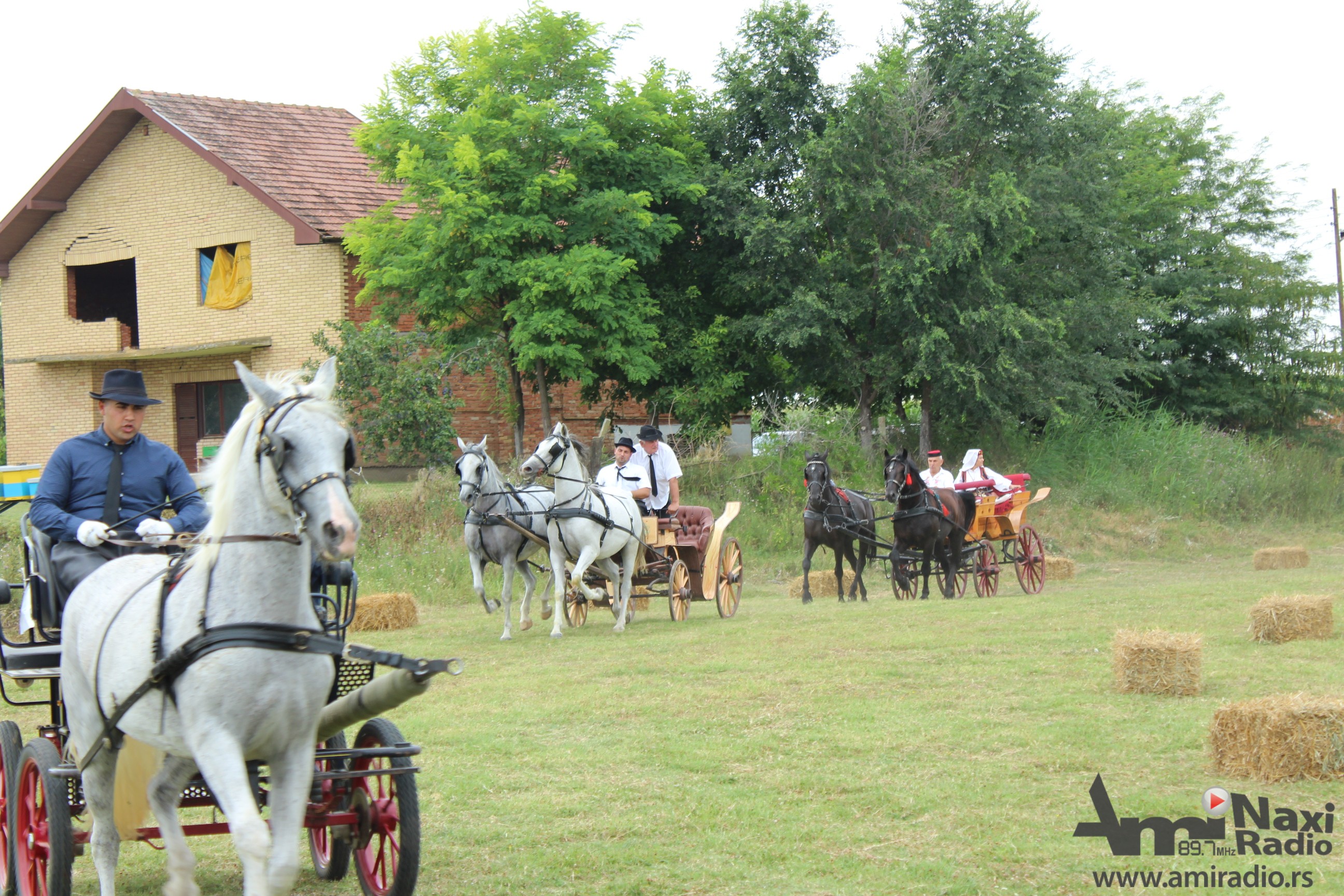3. Fijakerijada u Novim Kozarcima: Topot konja, svečane košulje i bele rukavice