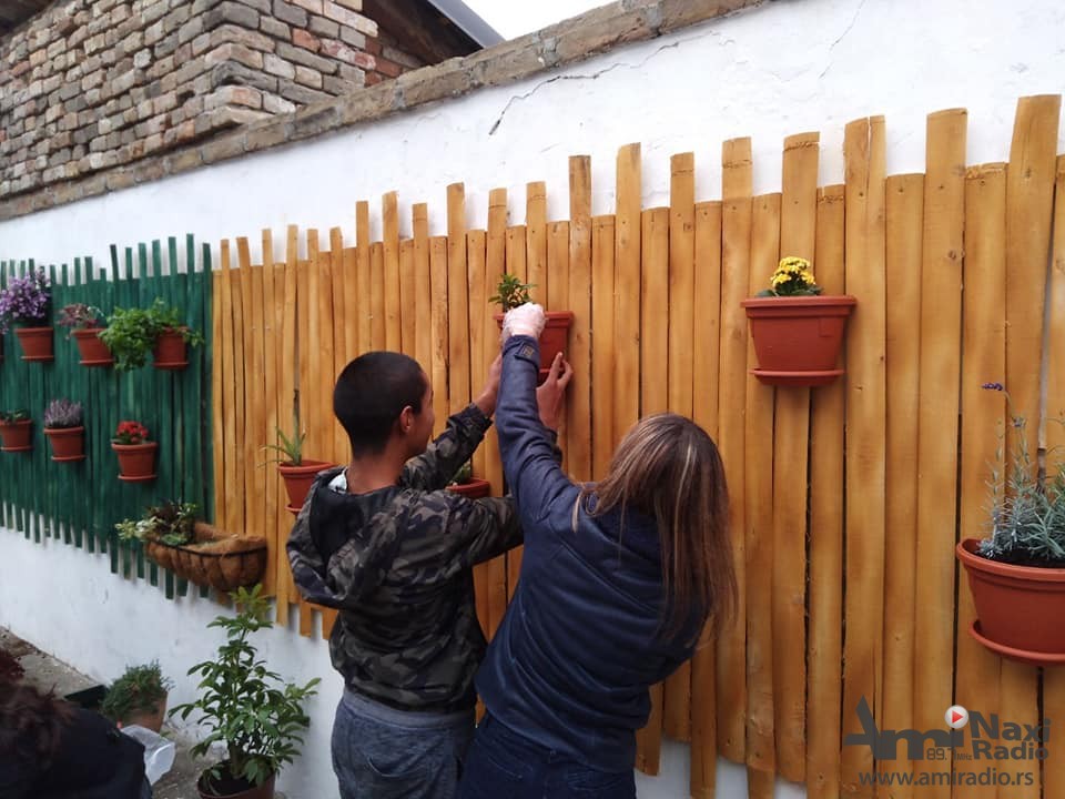 Foto vest: Akcija „Biljka na dar“ u OŠ „Šesti oktobar“