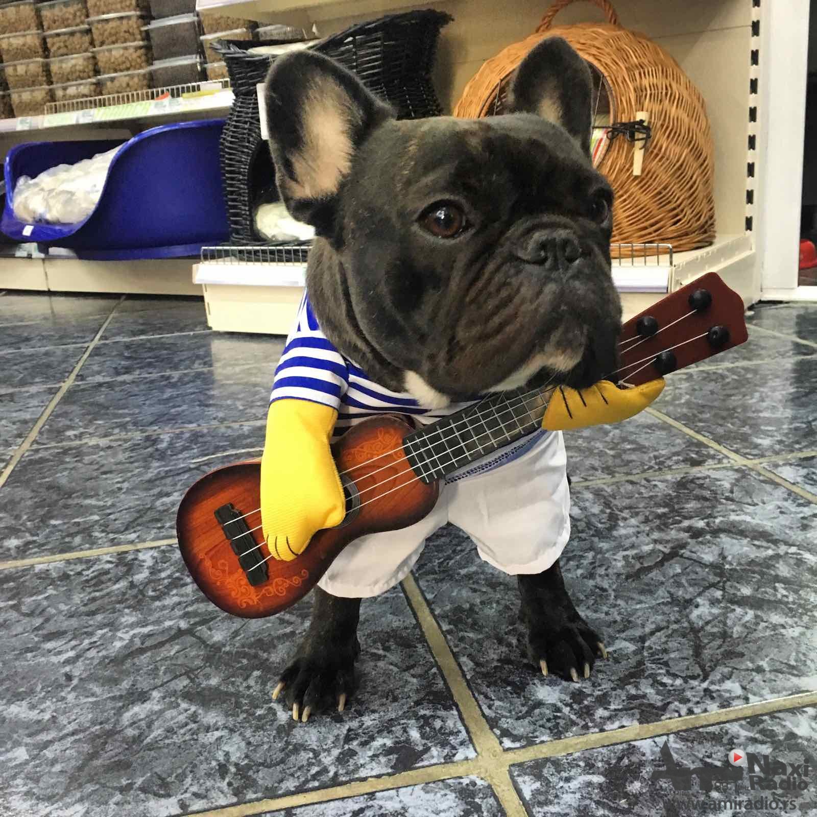 Pet mall „Mila Njuška“: Još danas i sutra popusti od 10 do 30 posto