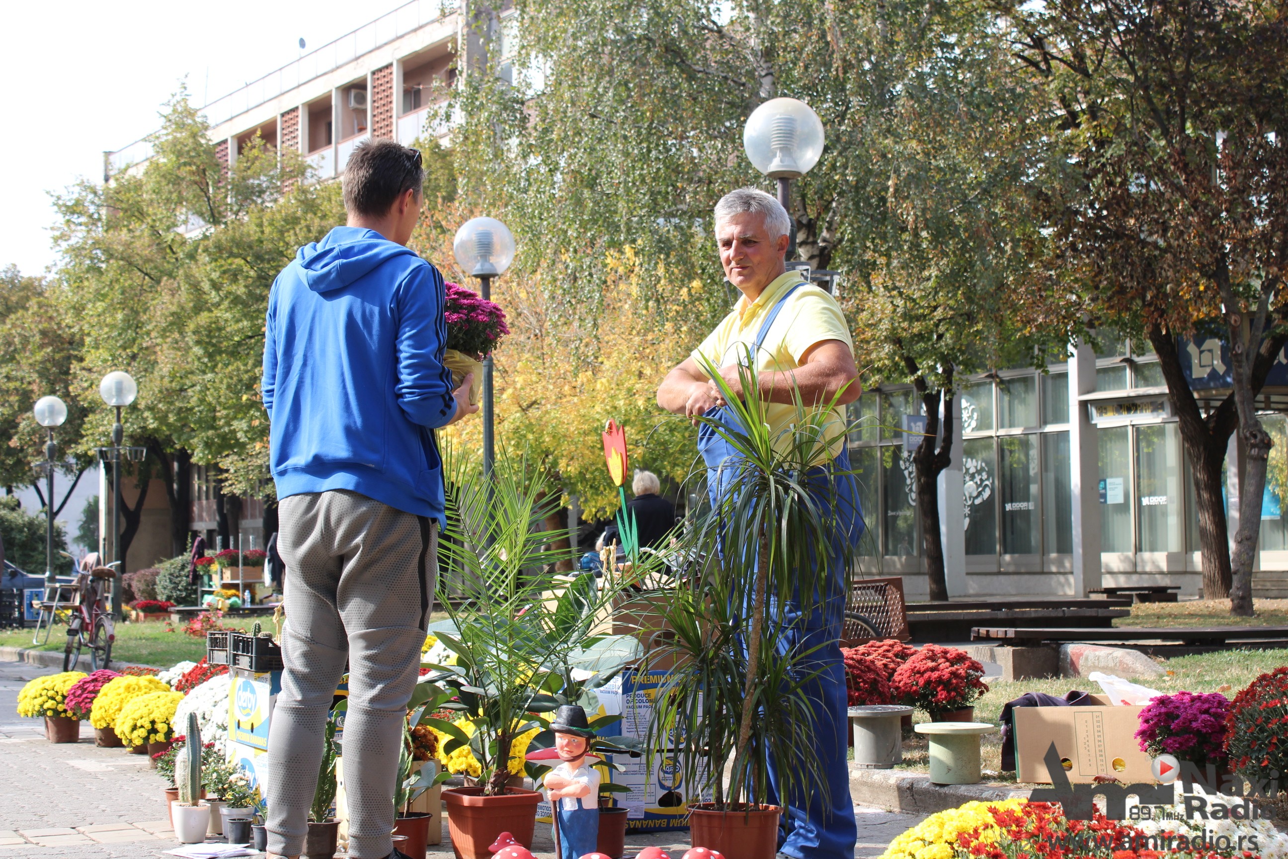 Jesenji sajam cveća u četvrtak na Trgu