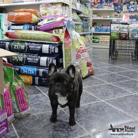 Pet mall „Mila Njuška“: Promocija hrane „Gosbi“ u subotu