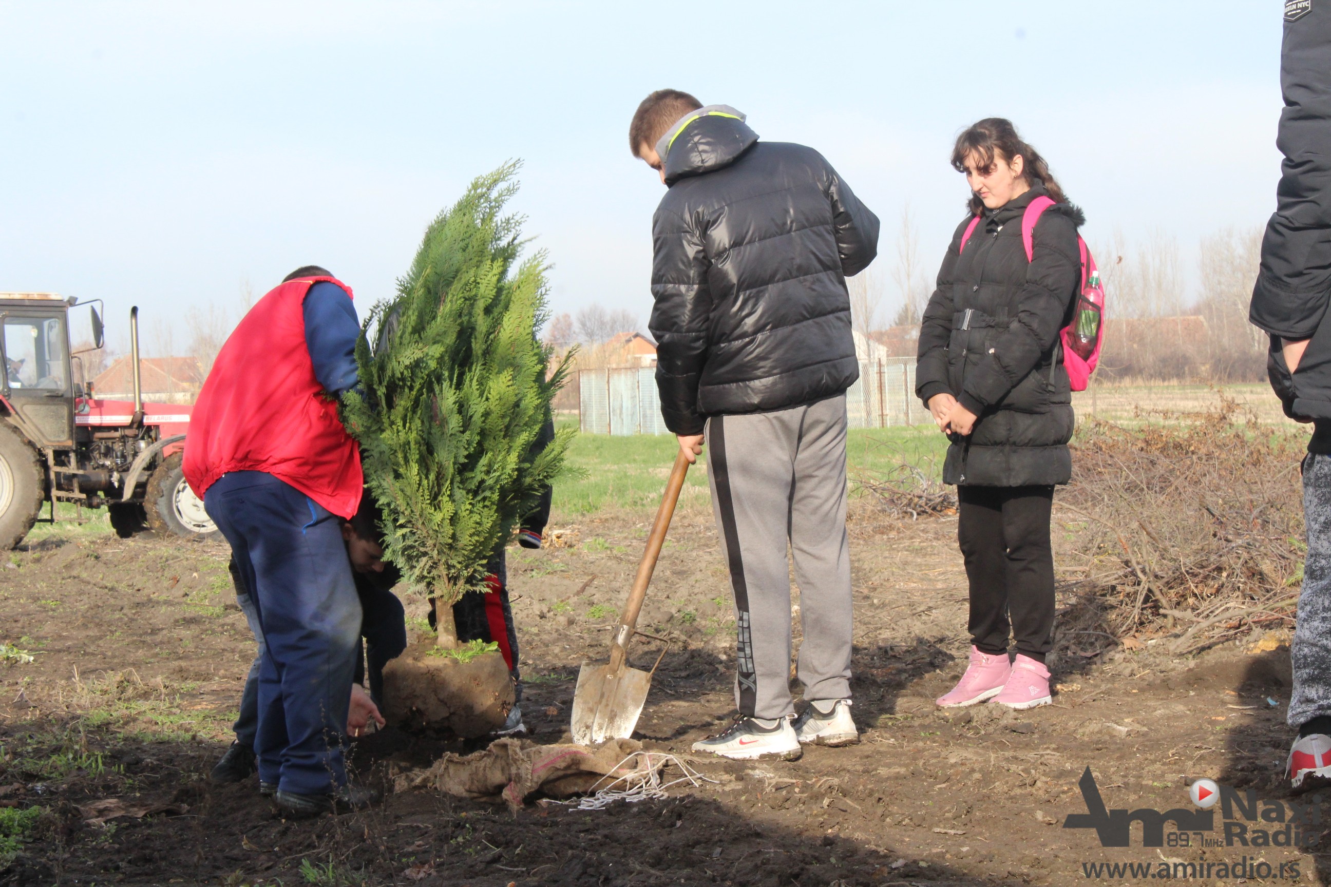 I ruskoselski osnovci posadili školsku šumu