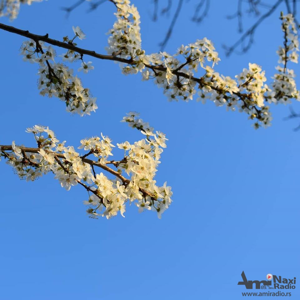 Proleće počinje u petak