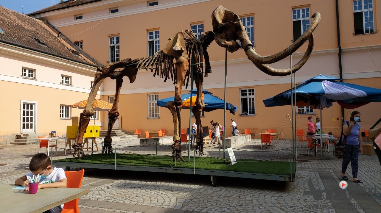 Likovni konkurs kikindskog Muzeja “U društvu sa mamutom”